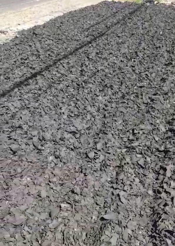 foro muat komoditi eksport 02