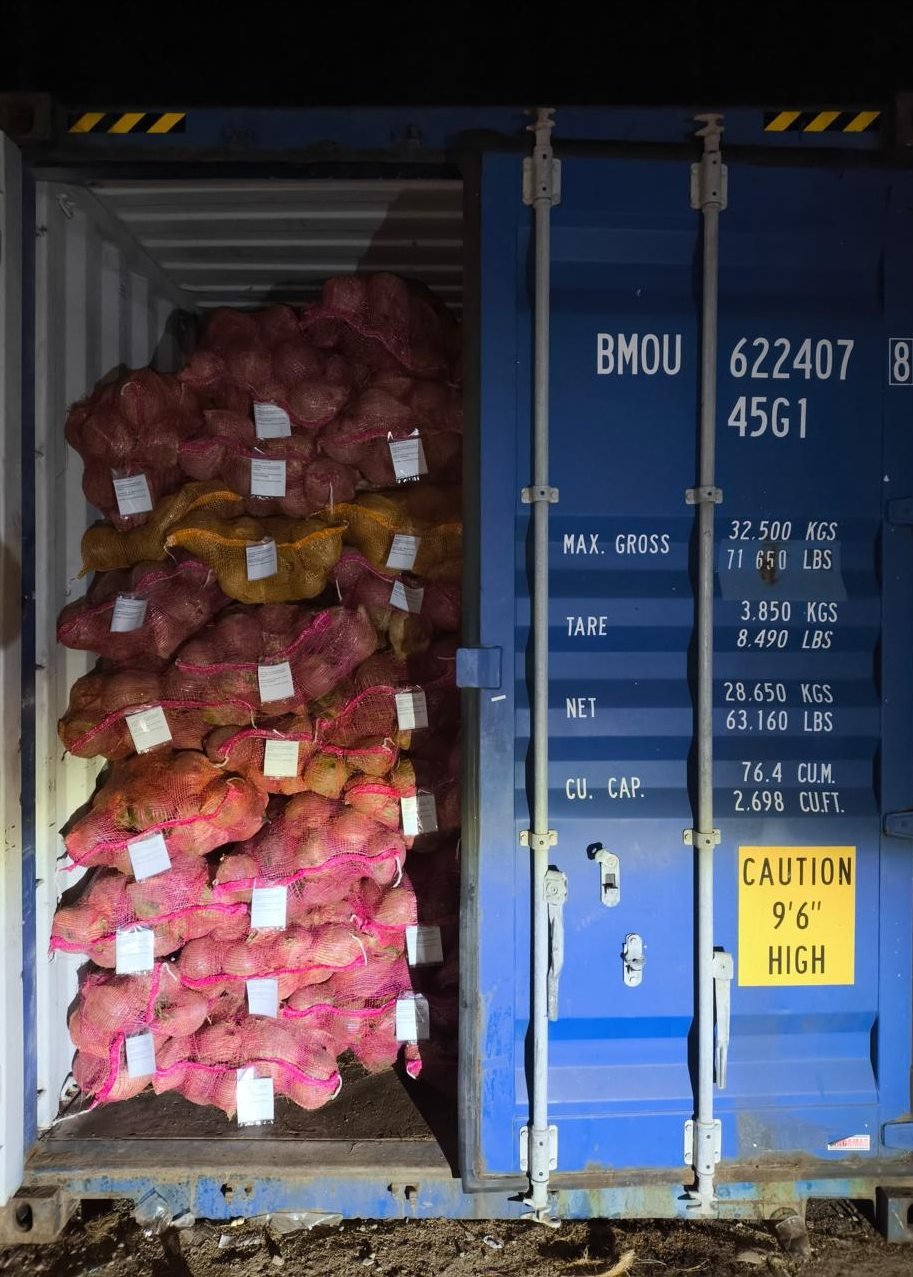 PROSES MUAT KELAPA KE DALAM KONTAINER 20”  DARI PORT BELAWAN TUJUAN PORT VIETNAM