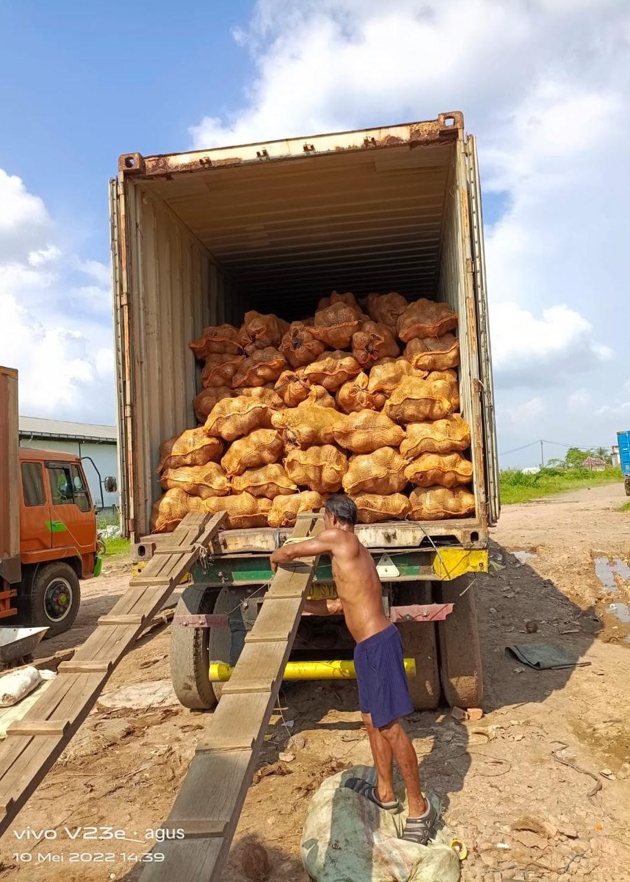 PROSES MUAT KELAPA KE DALAM KONTAINER 20”  DARI PORT BELAWAN TUJUAN PORT VIETNAM
