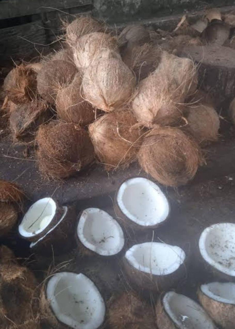 foro muat komoditi eksport 10