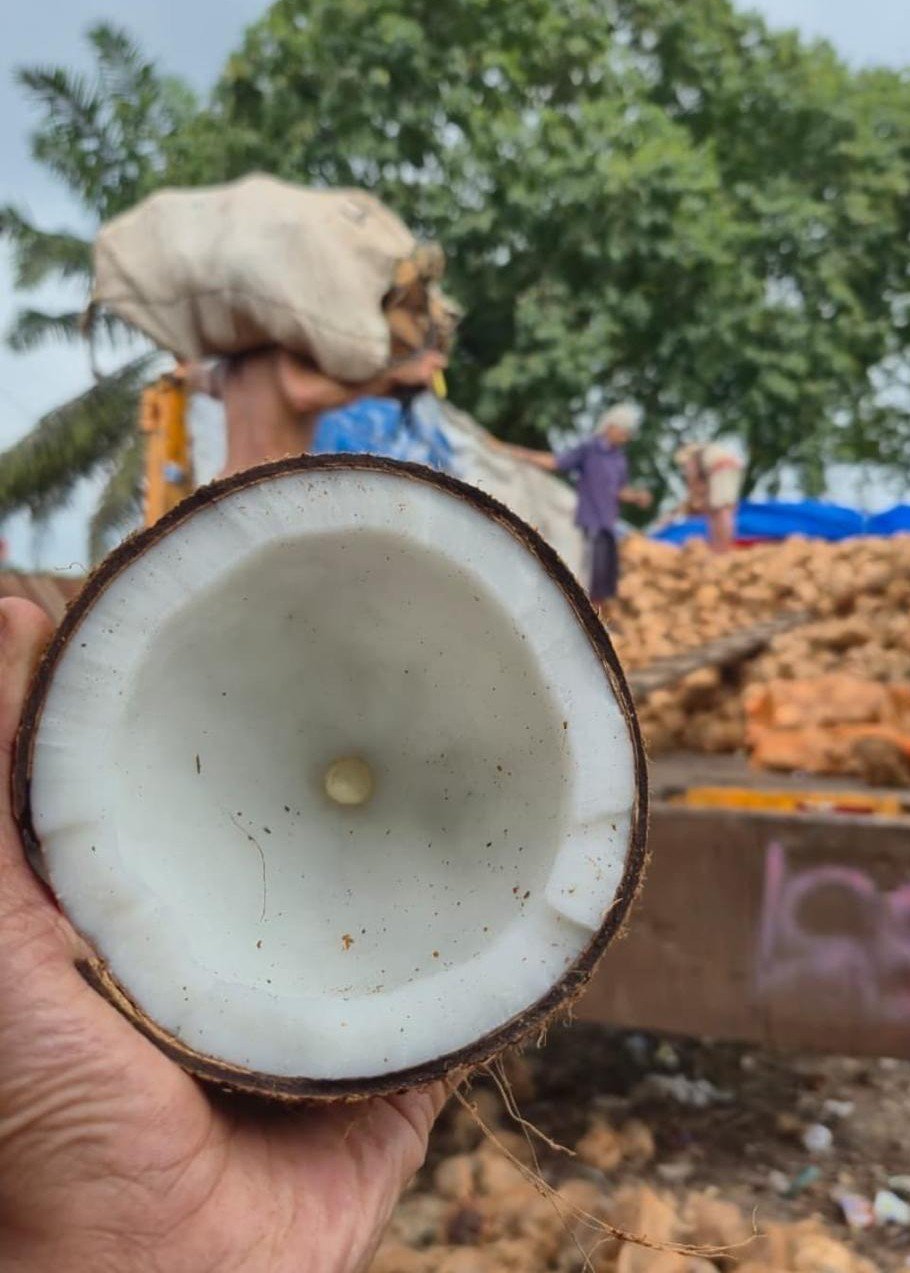 foro muat komoditi eksport 11